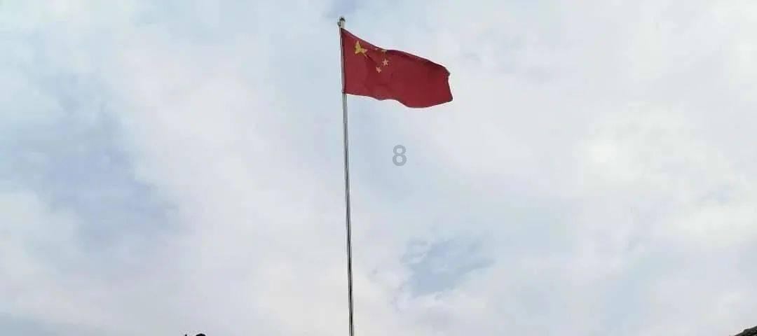 萌犬记忆卡
